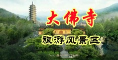 东北老骚逼肛交中国浙江-新昌大佛寺旅游风景区